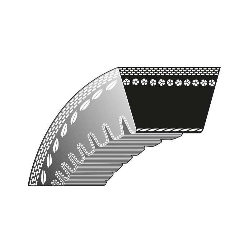 Cinghia dentata 3 9,5 x 785 rasaerba KLIPPO HUSQVARNA WB48 S, WB48 SE