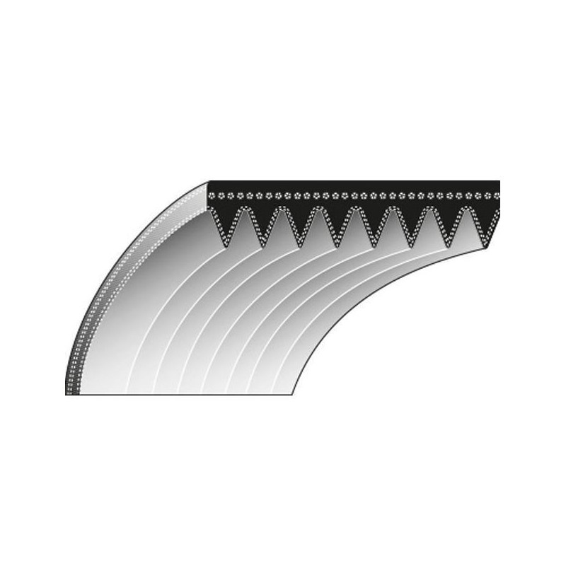 Cinghia dentata 6 - 17.2 x 1454 rasaerba TORO Z-Master Z200, Z-Master Z252