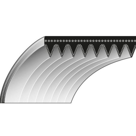 Cinghia dentata 6 - 17.2 x 1454 rasaerba TORO Z-Master Z200, Z-Master Z252 | NewgardenParts.com