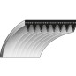 Cinghia dentata 6 - 17.2 x 1454 rasaerba TORO Z-Master Z200, Z-Master Z252