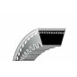 Courroie dentée tronçonneuse STIHL TS 50 - TS 510 - TS 760