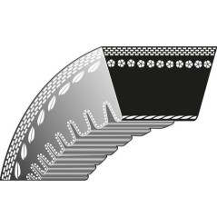 Correa dentada cortacésped KLIPPO Comet Pro 21 Pro S | NewgardenParts.com