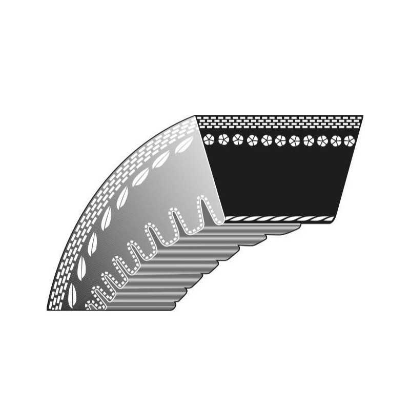 Correa dentada cortacésped KLIPPO Comet Pro 21 Pro S