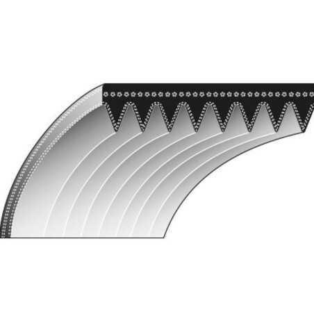 TORO 8-954 Zahnriemen für Rasenmäher Mäher | NewgardenParts.com