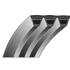 Correa dentada cortacésped SCAG 048202 048202A | NewgardenParts.com