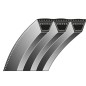 Correa dentada cortacésped SCAG 048202 048202A