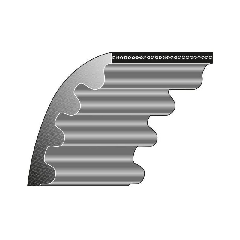 Cinghia dentata rasaerba tagliaerba WESTWOOD 122-085