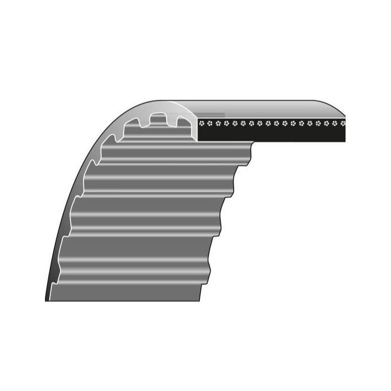 Cinghia dentata rasaerba tagliaerba WOLF 6020 330