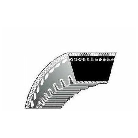 Cinghia dentata tagliaerba tosaerba rasaerba 5306 5312 IP3010012 IBEA P3010012 | NewgardenParts.com