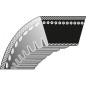 Courroie dentée tondeuse STIGA 16x1113mm 9585-0148-01