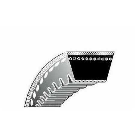 Courroie de distribution pour tondeuse à gazon TORO TORNADO | NewgardenParts.com