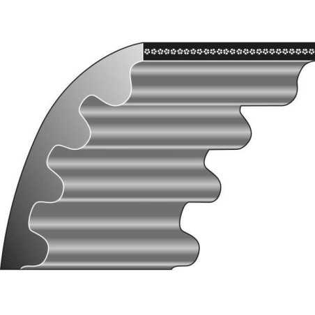 Courroie dentée de transmission compatible tondeuse à gazon WOLF-GARTEN UV-EB 0039005 | NewgardenParts.com