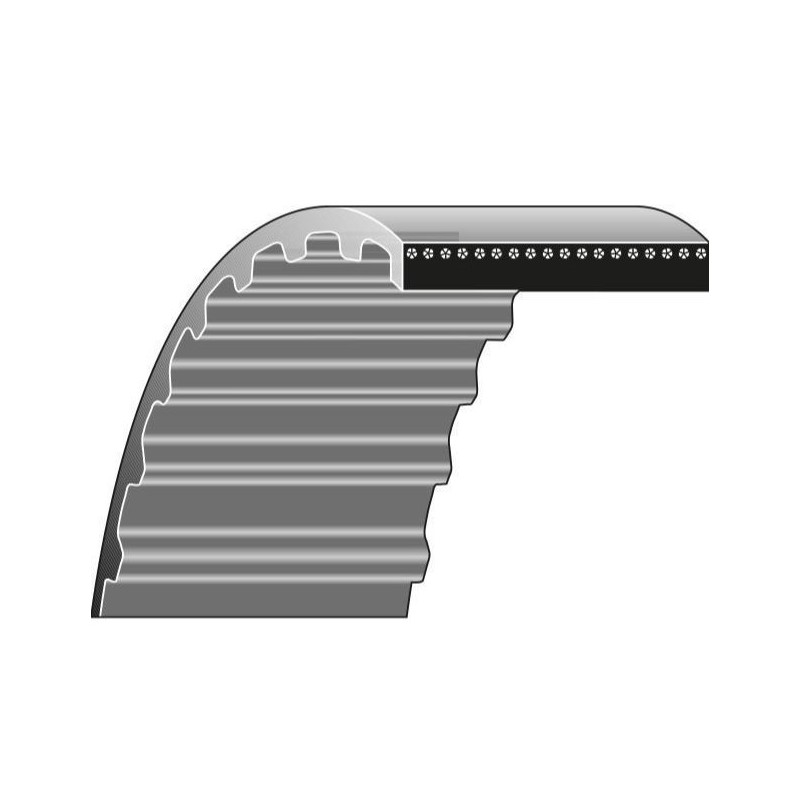 Cinghia dentata trasmissione rasaerba KYNAST 15-E-405  KYNAST 15-E-406  MTD V 40