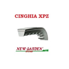 Cinghia dentata XPZ 13 X 880 trattorino rasaerba CASTELGARDEN 135061404/0 | NewgardenParts.com