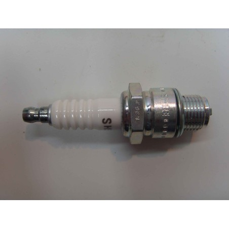 Candela NGK motore rasaerba tagliaerba tosaerba B6HS 240206 | NewgardenParts.com