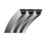MAORI drive belt for lawn mower MP 4400 EL
