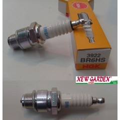 Candela NGK motore rasaerba tagliaerba tosaerba BR6HS 240233 | NewgardenParts.com