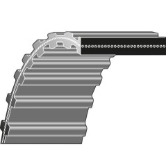 Cinghia doppia dentatura dentata trattorino rasaerba tagliaerba ETESIA | NewgardenParts.com