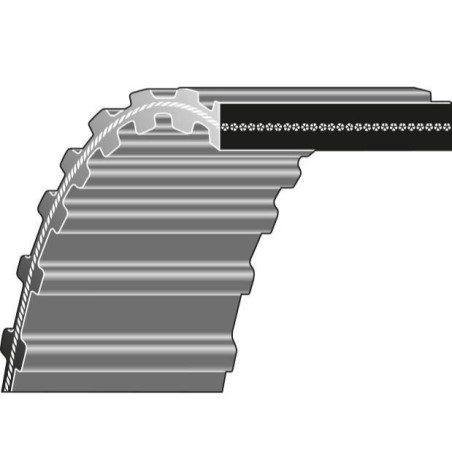 Cinghia doppia dentatura dentata trattorino rasaerba tagliaerba ETESIA | NewgardenParts.com