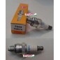 NGK spark plug lawn mower engine CMR7A 240228