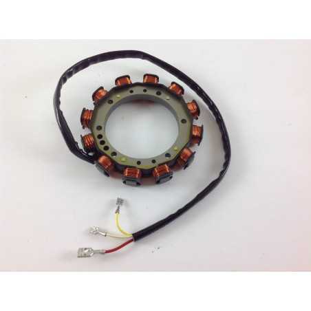 Lichtmaschine 12V SAPRISA 5246 Motor LOMBARDINI RUGGERINI 15LD LDW502 8565.113 | NewgardenParts.com