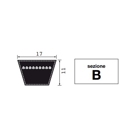 B29 section toile courroie caoutchouc développement primitif 765 mm machine agricole | NewgardenParts.com