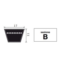 Trapezoidal rubber belt section B43 primitive development 1130mm | NewgardenParts.com