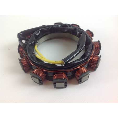 Lichtmaschine 12V SAPRISA 5247 Motor LOMBARDINI RUGGERINI 15LD LDW502 8565.107 | NewgardenParts.com