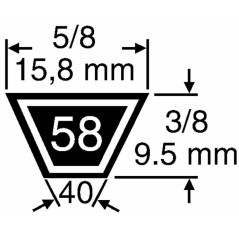 Antriebsriemen - MAORI selbstfahrend für Schneepflug MP 766AE MP 1174AE