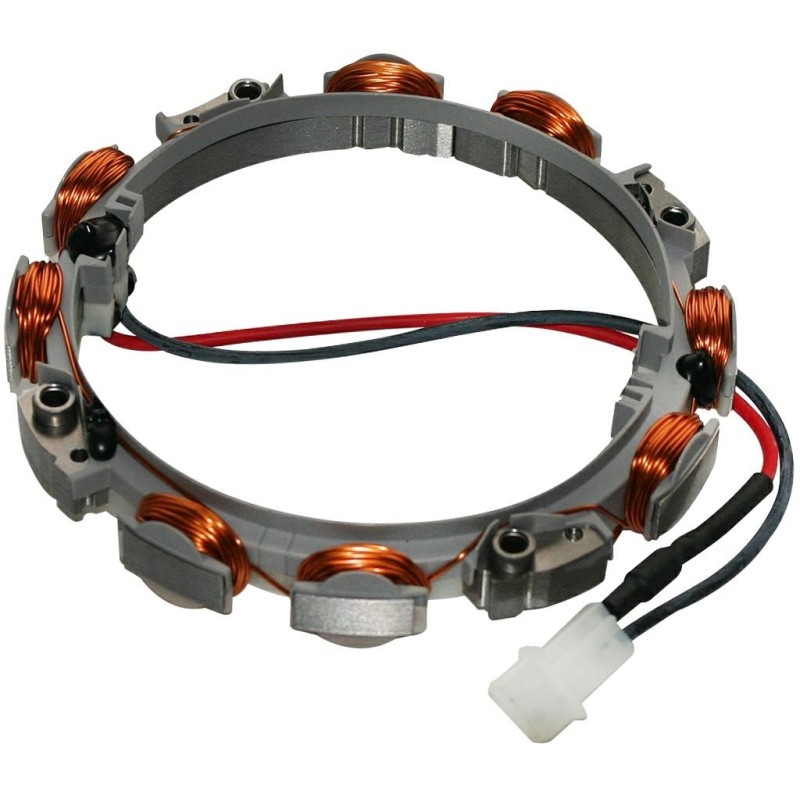 Alternatore 2-4 Ah con diodo DUAL CIRCUIT avviamento motore BRIGGS 696459 592831