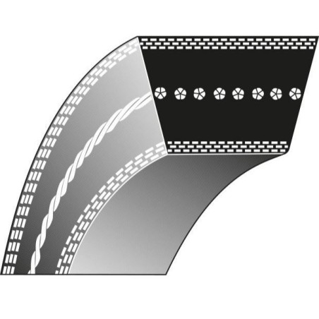 Cinghia trapezoidale tagliaerba tosaerba rasaerba 17-549 CASTELGARDEN | NewgardenParts.com