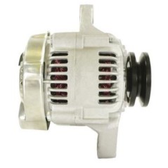 Alternatore compatibile con motore KUBOTA B265 - B3000 - B3000HSDC | NewgardenParts.com