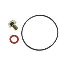 Kit guarnizione vite vaschetta motore trattorino rasaerba G150 G200 HONDA 8R35-138 | NewgardenParts.com