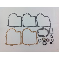 Lawn tractor seal kit compatible BRIGGS&STRATTON 494241 490525