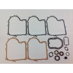 Kit guarnizioni trattorino tagliaerba compatibile BRIGGS&STRATTON 494241 490525 | NewgardenParts.com