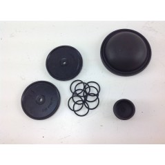Diaphragm kit Bertolini pump PA 31S 000037 269871973 | NewgardenParts.com