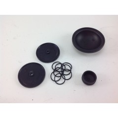 Kit de membrana para bomba Bertolini PA 31S 000037 269871973 | NewgardenParts.com