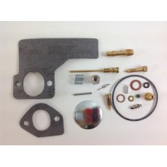 Kit riparazione carburatore trattorino tagliaerba BRIGGS & STRATTON 394698 | NewgardenParts.com