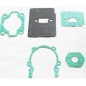 Complete gasket set compatible with OLEO MAC 750 8510 brushcutter