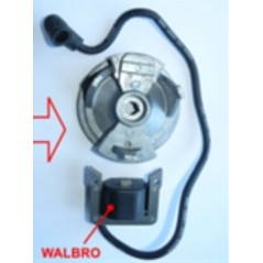 Schwungradsatz mit Spule für EMAK Nebelgebläse AM 150 AM 180 AM 190 MB 80 MB 800 | NewgardenParts.com