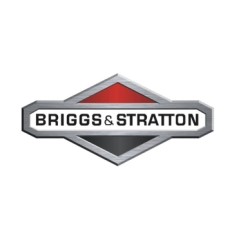 ORIGINAL BRIGGS & STRATTON 19598 operating hours counter | NewgardenParts.com