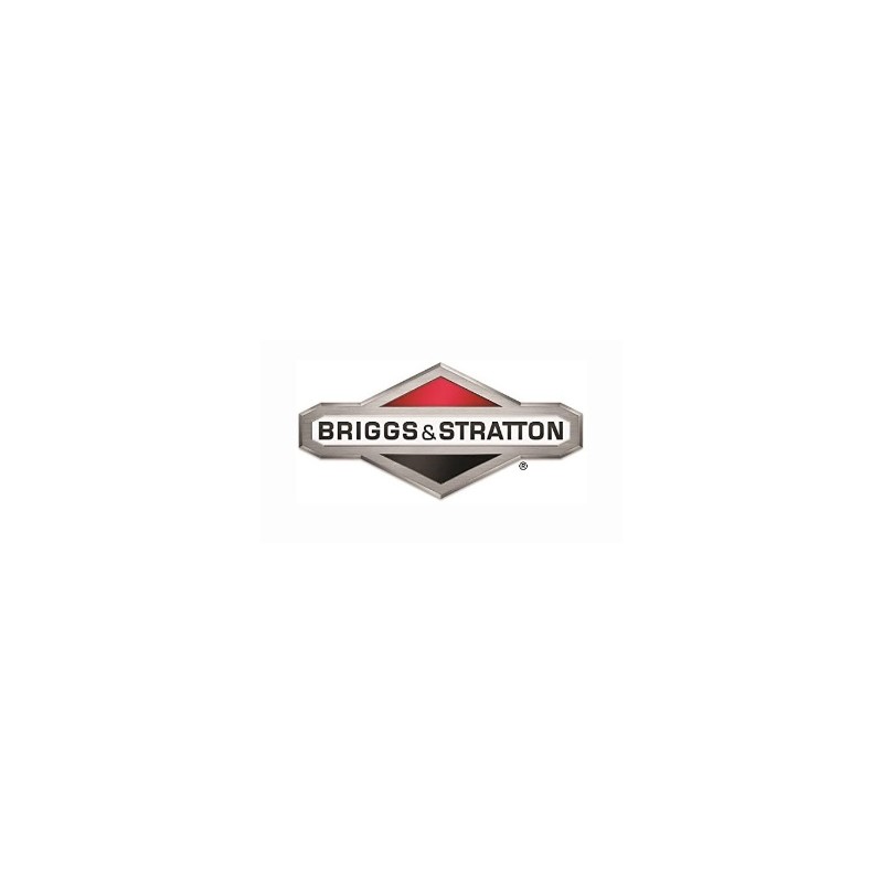 Convogliatore ORIGINALE BRIGGS & STRATTON 593962