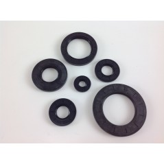 Universal oil seal rings for garden machinery engines 861 - 6