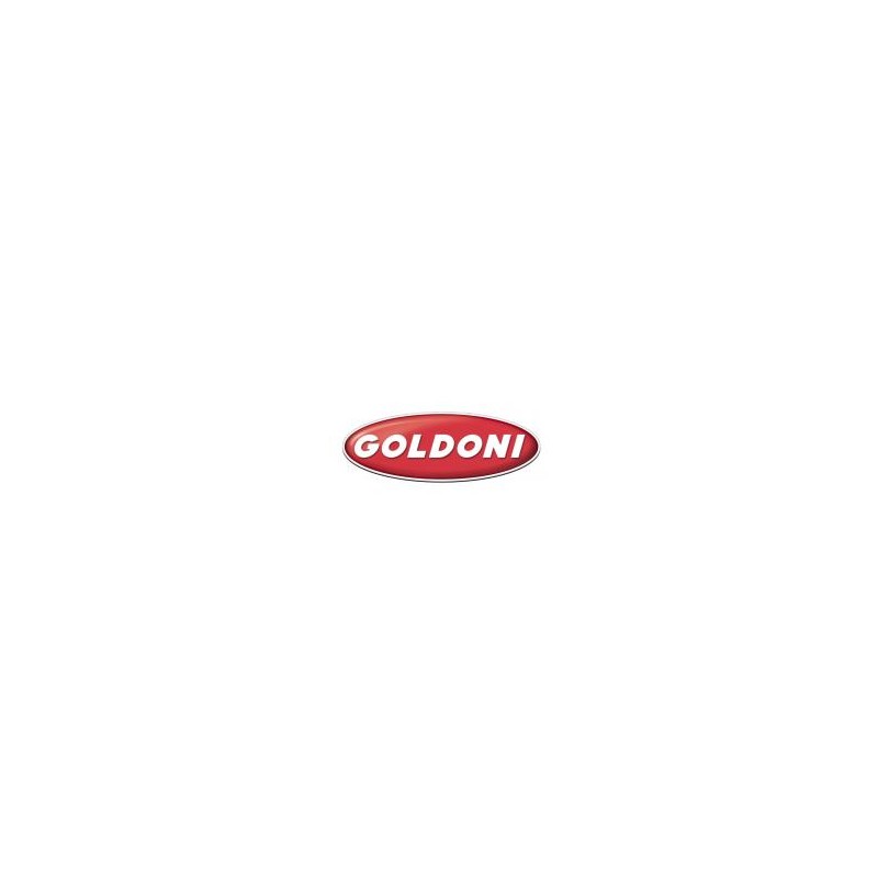 Anello blocco rapido 4 ZN ORIGINALE GOLDONI 06240004