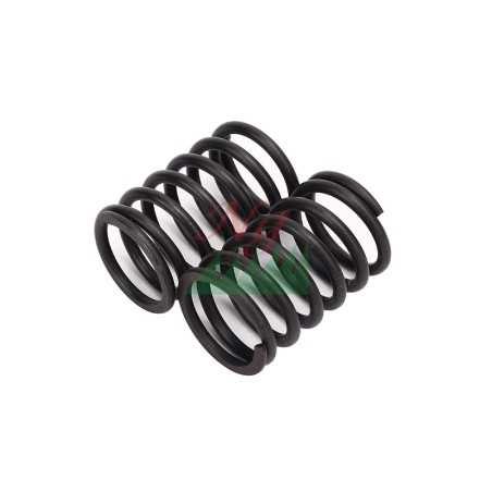 Paar Ventilfedern DIESEL LOMBARDINI Motor 3LD510 LDW502 LDW602 LDW903 | NewgardenParts.com