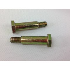 Paire de vis pour axe de roue plat pour tracteur de pelouse MTD 96 cm B130 738-0373 420007