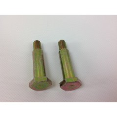 Par de tornillos de eje de rueda plana para tractor de césped MTD 96 cm B130 738-0373 420007 | NewgardenParts.com