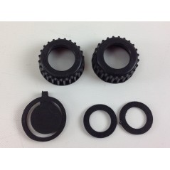 Complete body DUCAR motor pump DP 25 038554 | NewgardenParts.com
