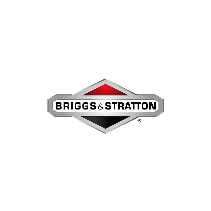 Dado motore trattorino tagliaerba ORIGINALE BRIGGS & STRATTON 015X79MA