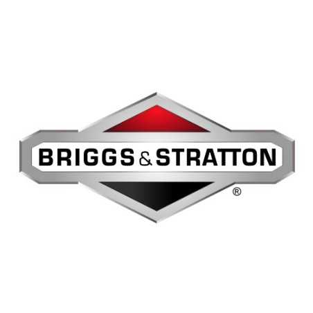 ORIGINAL BRIGGS & STRATTON lawn tractor motor nut 015X79MA | NewgardenParts.com